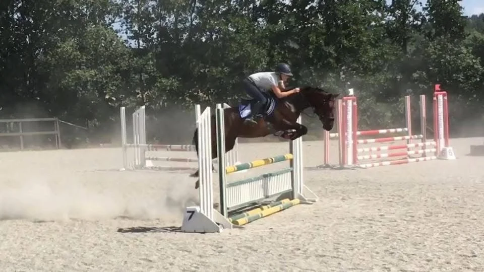 A person riding a horse over a jump obstacle during a show jumping event.