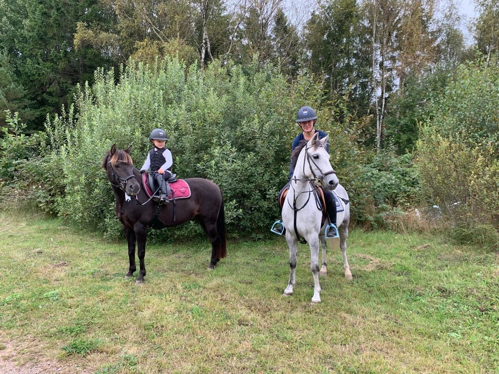 Two children, both wearing helmets, sit on horseback outdoors on a grassy area with bushes and trees in the background. The child on the left is on a dark brown horse with a pink saddle pad, and the child on the right is on a gray horse with a white 