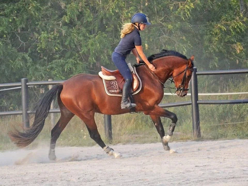 Female rider in helmet riding a brown horse at a gallop on a dirt track surrounded by trees.