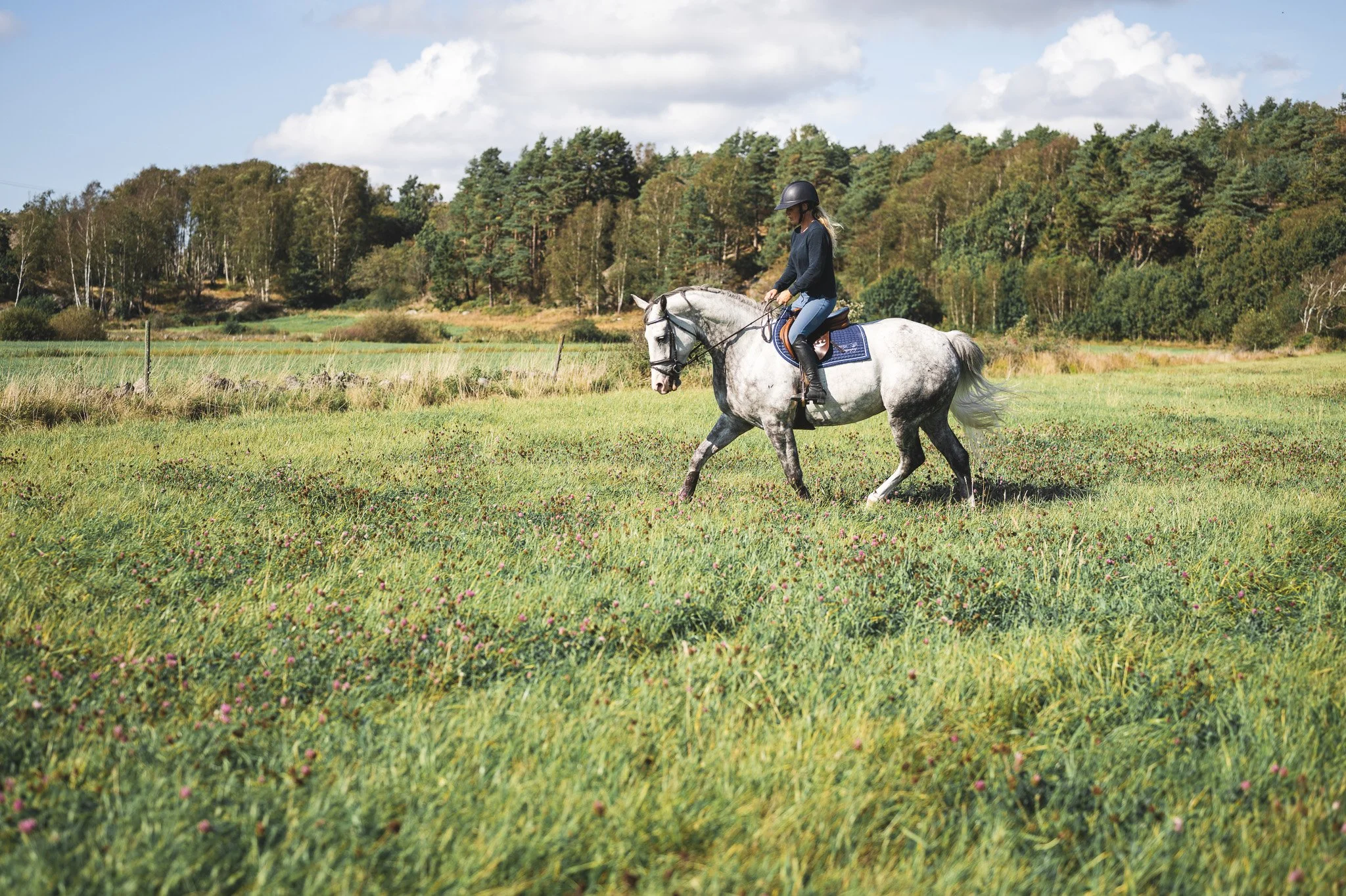 A woman riding a gray horse in a grassy field with trees in the background on a sunny day.