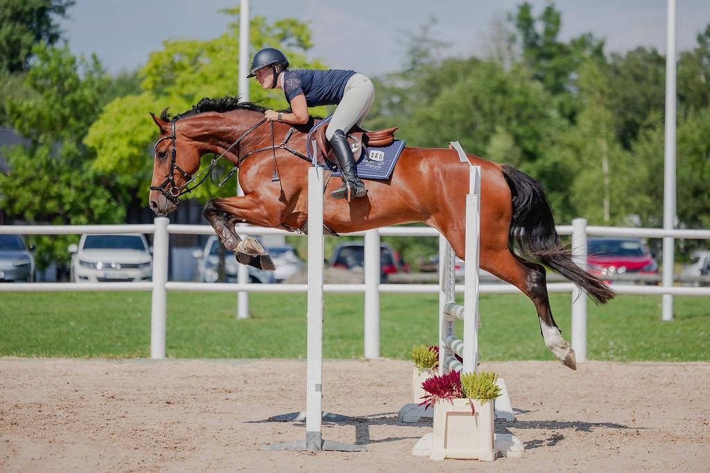 A person riding a horse over a jump during a equestrian show.