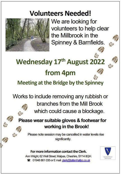 Clearing the Mill Brook