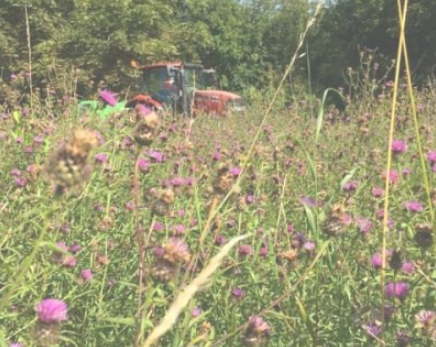 Transition Tattenhall’s Response to the Glebe Meadow Consultation
