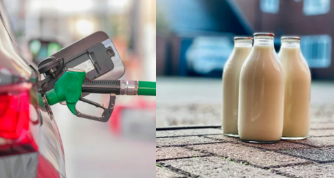 What emits more carbon dioxide - a litre of Milk or a litre of Petrol?