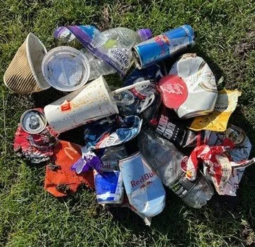 Litter: What's changed? Why now?