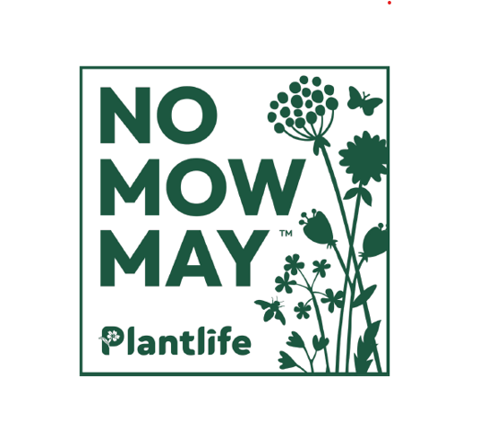 Hot off the Press! No Mow May Competition