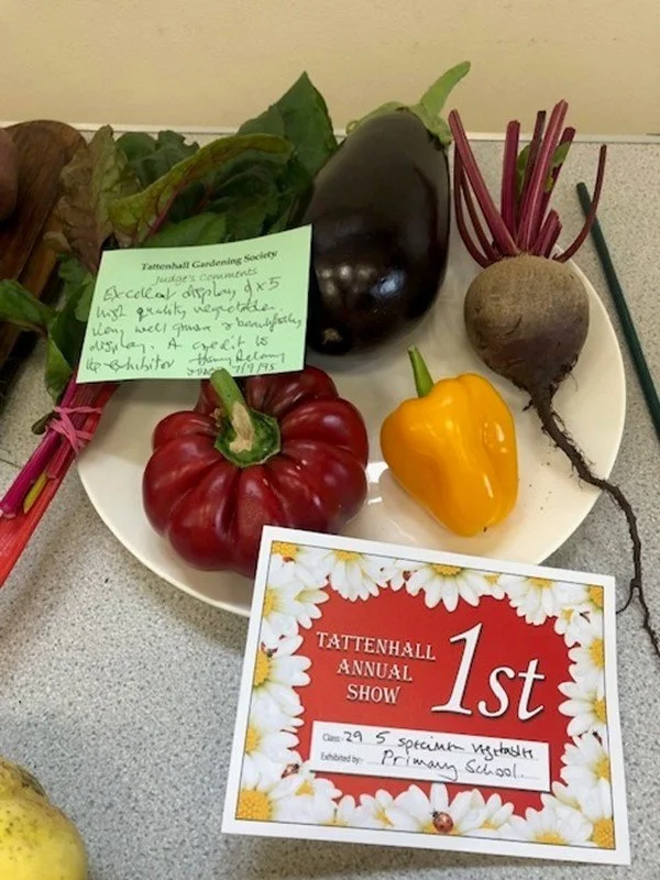 Display of garden vegetables at the Tattenhall Annual Show, including a red bell pepper, a yellow bell pepper, an eggplant, a beetroot with green leaves, and a handwritten note praising the vegetables.