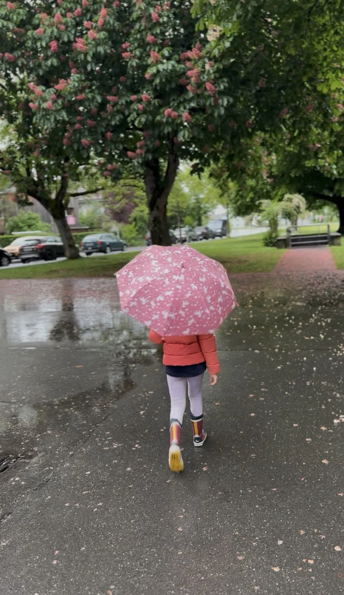Rainy Days in Interlaken: Family-Friendly Adventures When the Weather Turns (Part One)