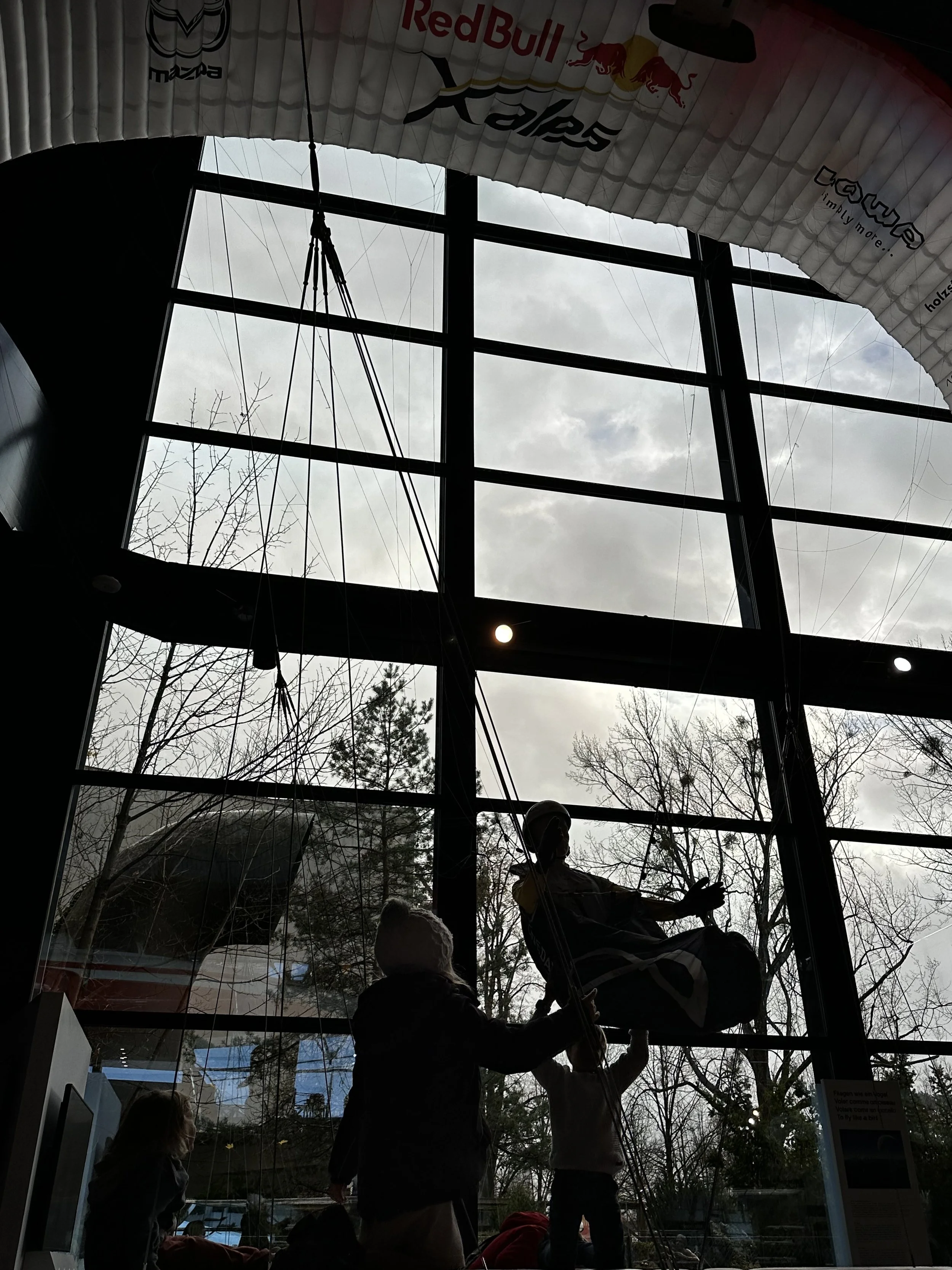 IMG_1294.jpeg