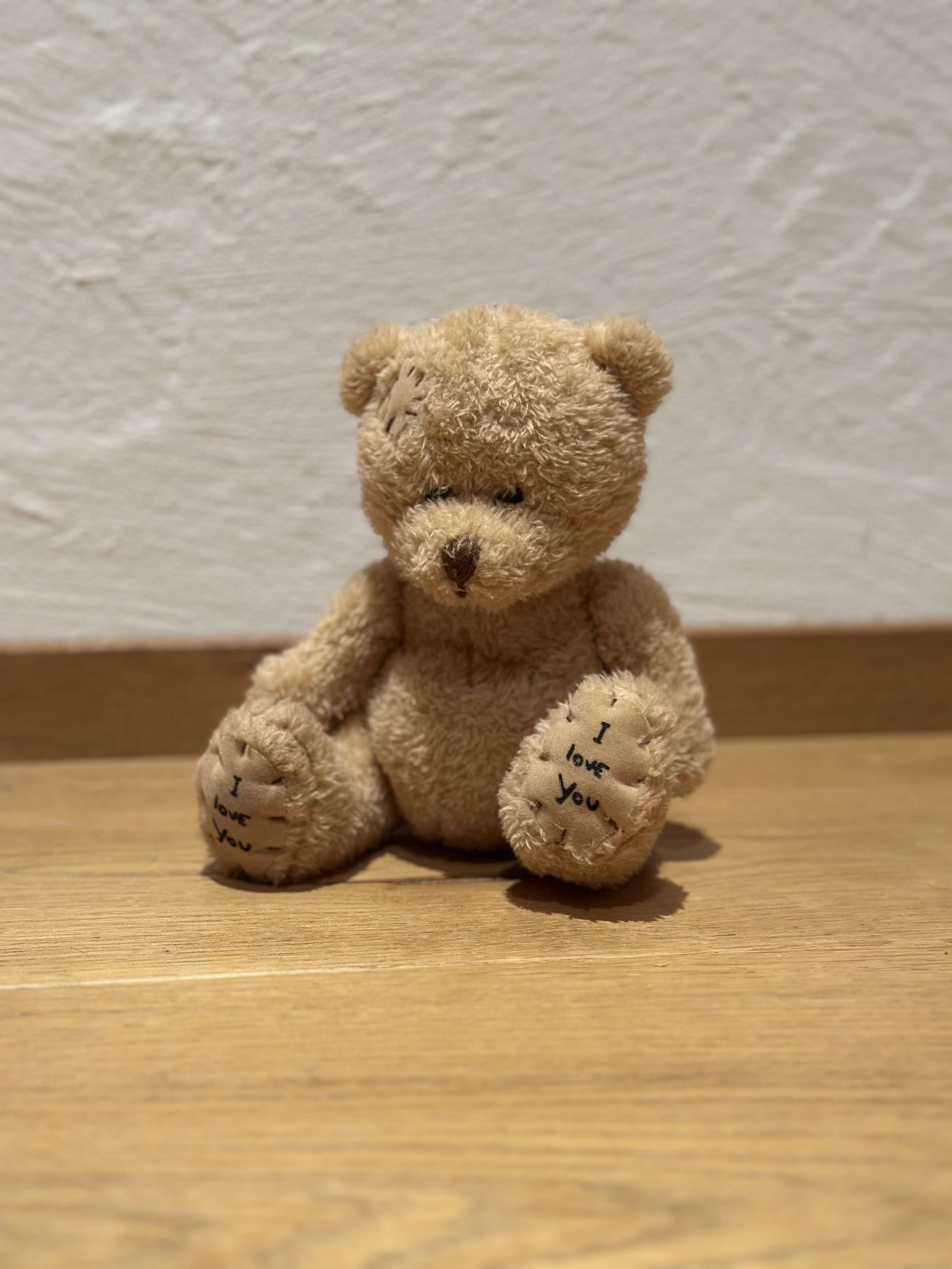 2. Storybook Bedtime Session (All ages) = 



 A cosy early-evening routine session.
Includes:
• Babysitter assists with simple children’s dinner
• Books, bedtime stories, quiet games
• Supervised wind-down time
• Final sleep settling
(No cooking of 