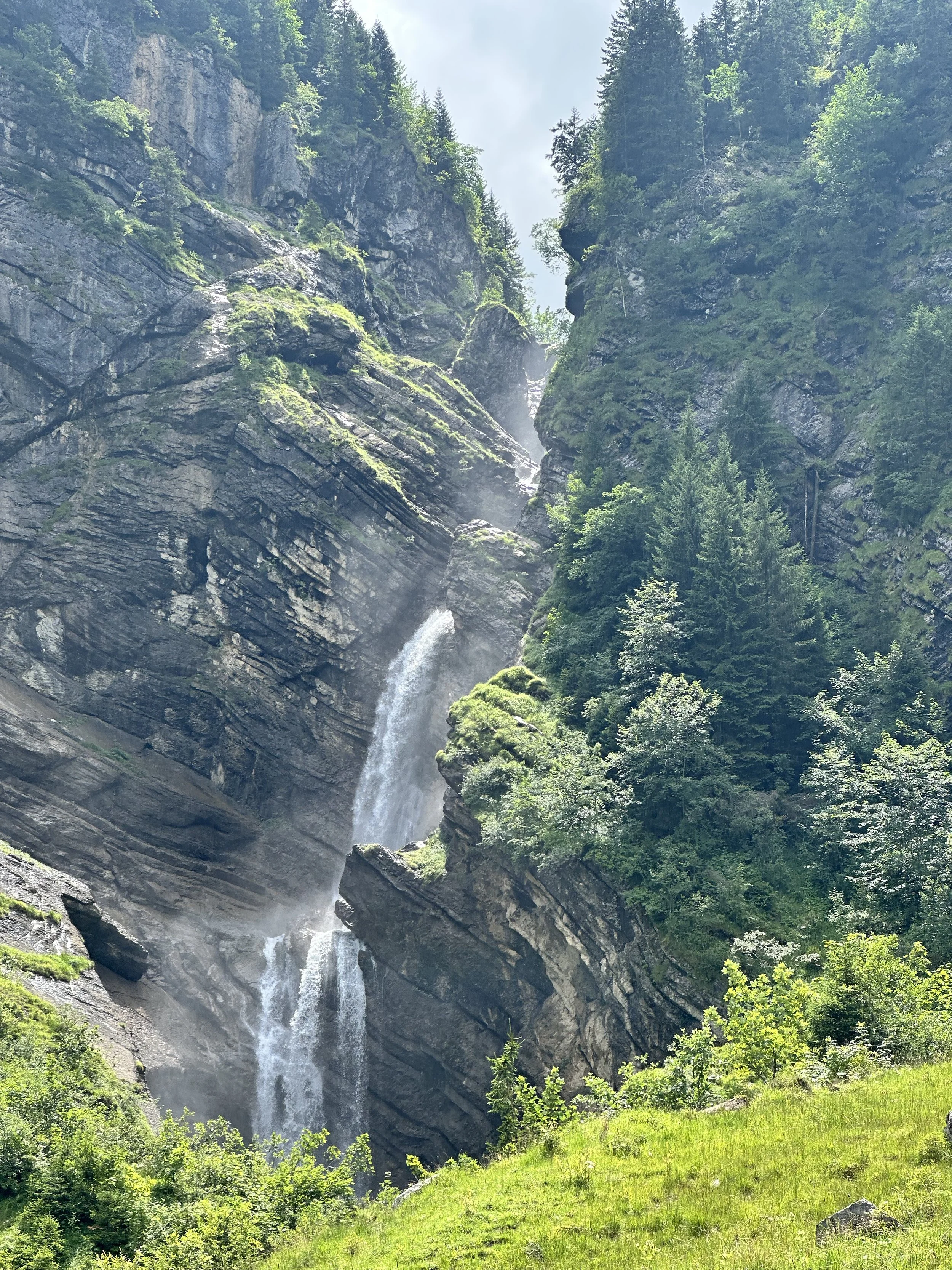 A tall waterfall cascading down a rocky cliff surrounded by green trees and vegetation ina mountainous landscape.Childcare 儿童保育 Kinderverzorging Garde d'enfants مجالسة الأطفال Cuidado de niños Присмотр за детьми Babysitiing Jungfrau Region Interlaken