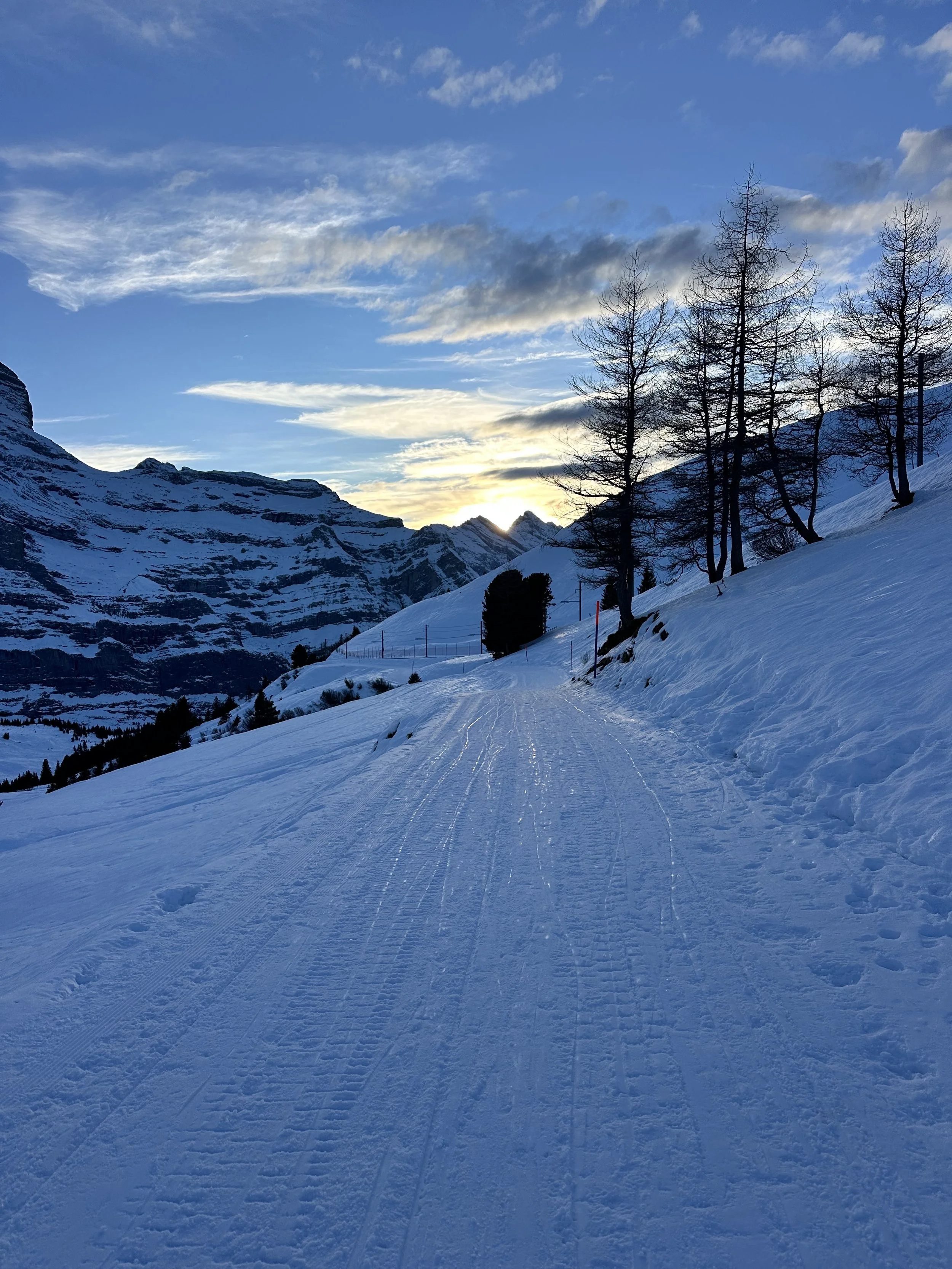 Snow-covered mountain trail at sunset with bare trees and mountain peaks in the background.Childcare 儿童保育 Kinderverzorging Garde d'enfants مجالسة الأطفال Cuidado de niños Присмотр за детьми Babysitiing Jungfrau Region Wengen