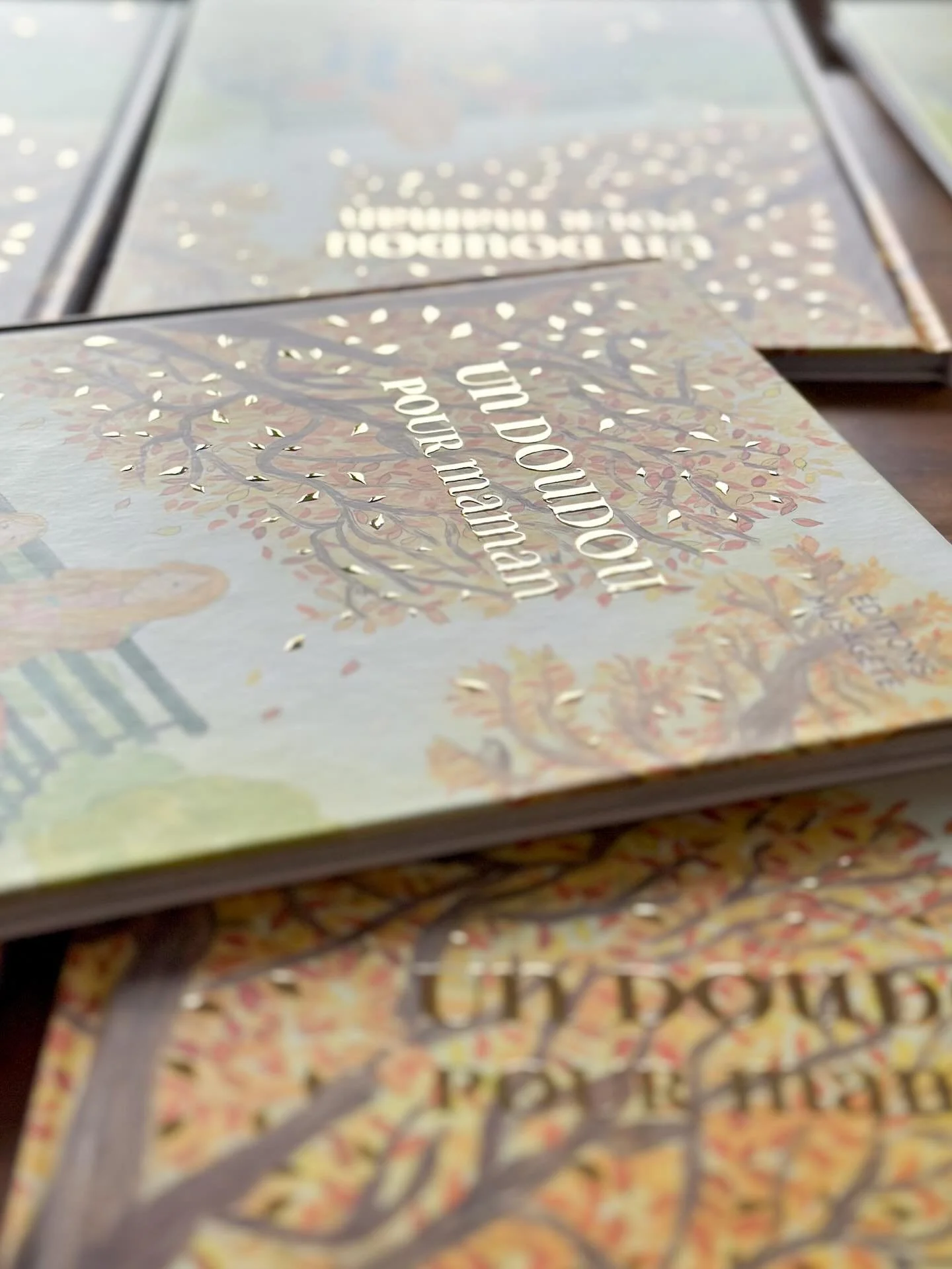 ✨ Les premiers exemplaires sont arriv&eacute;s ✨
Aujourd&rsquo;hui, on a attendu le livreur avec impatience&hellip; pour d&eacute;couvrir avec beaucoup d&rsquo;&eacute;motions les premiers exemplaires de @un_doudou_pour_maman ! Ce projet qui a commen