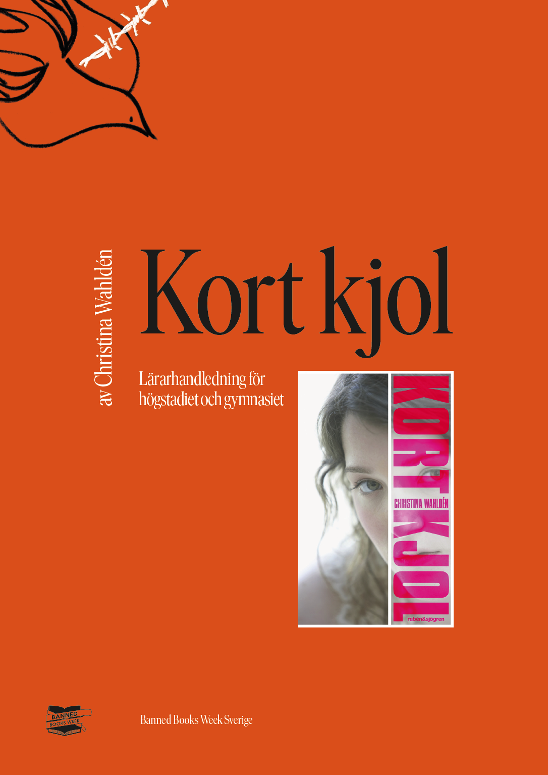 Lärarhandledning – Kort kjol