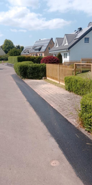 calles residenciales con casas y jardines con arbustos y árboles