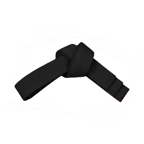 PAMA - Black martial arts belt tied up.