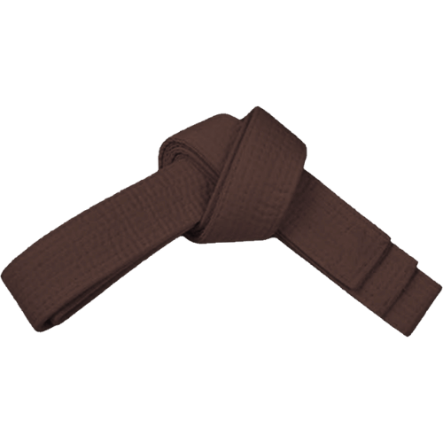 PAMA - Brown martial arts belt tied up.