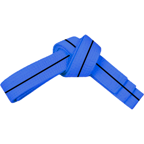 PAMA - Blue and black stripe, martial arts belt tied up.