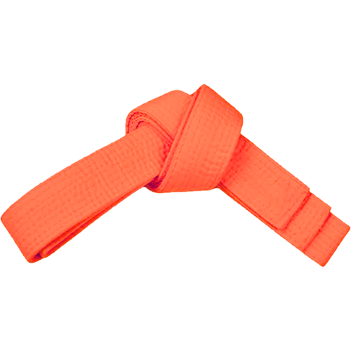 PAMA - Orange martial arts belt tied up.