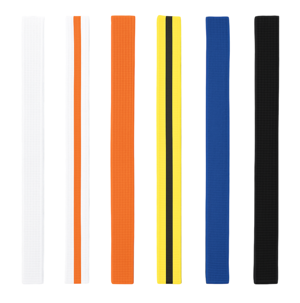 A row of belts  you can achieve at grading (white, orange, purple, orange, yellow, blue, and black).