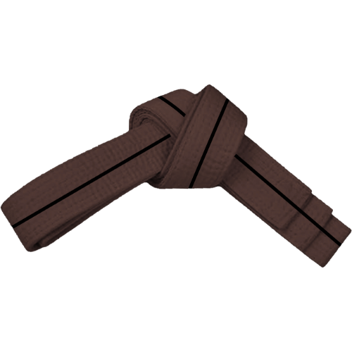 PAMA - Brown and black stripe, martial arts belt tied up.