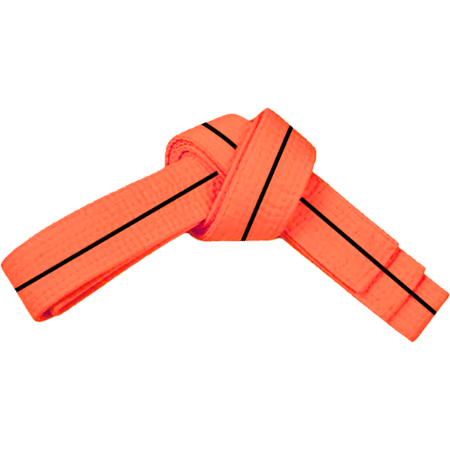 PAMA - Orange and black stripe, martial arts belt tied up.