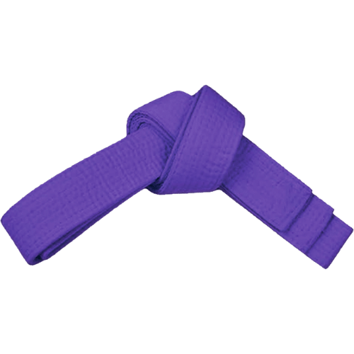 PAMA - Purple martial arts belt tied up.