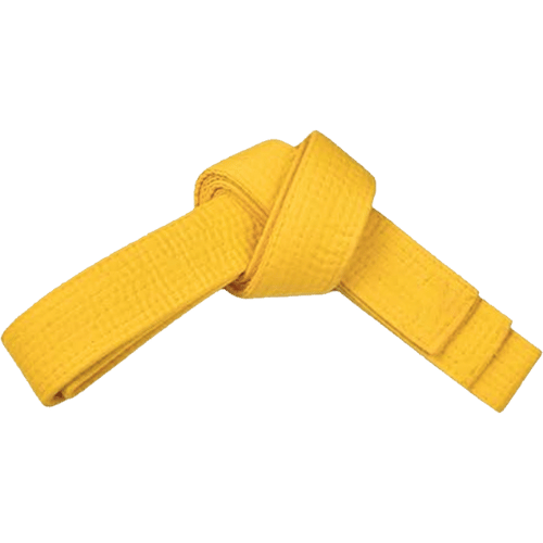 PAMA - Yellow martial arts belt tied up.
