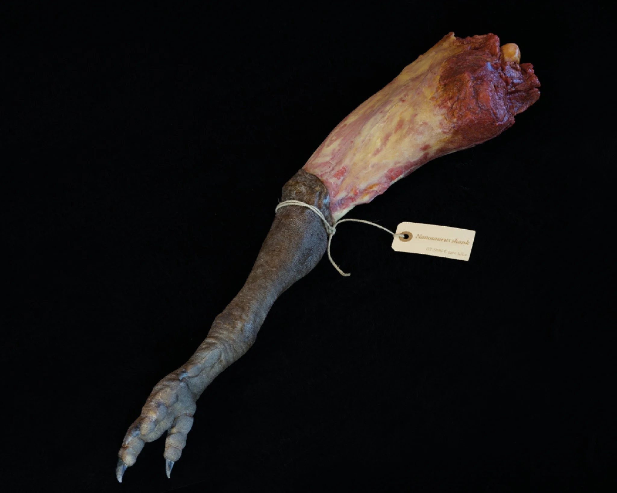 Nanosaur Ham 🦕🍖
While in the Cretaceous, we looked for other edible things. Besides a handful of pine nuts from this newly evolved plant, we managed to bag a Nanosaur.
Time travel is like space travel &mdash; weight equals energy cost. So we only t