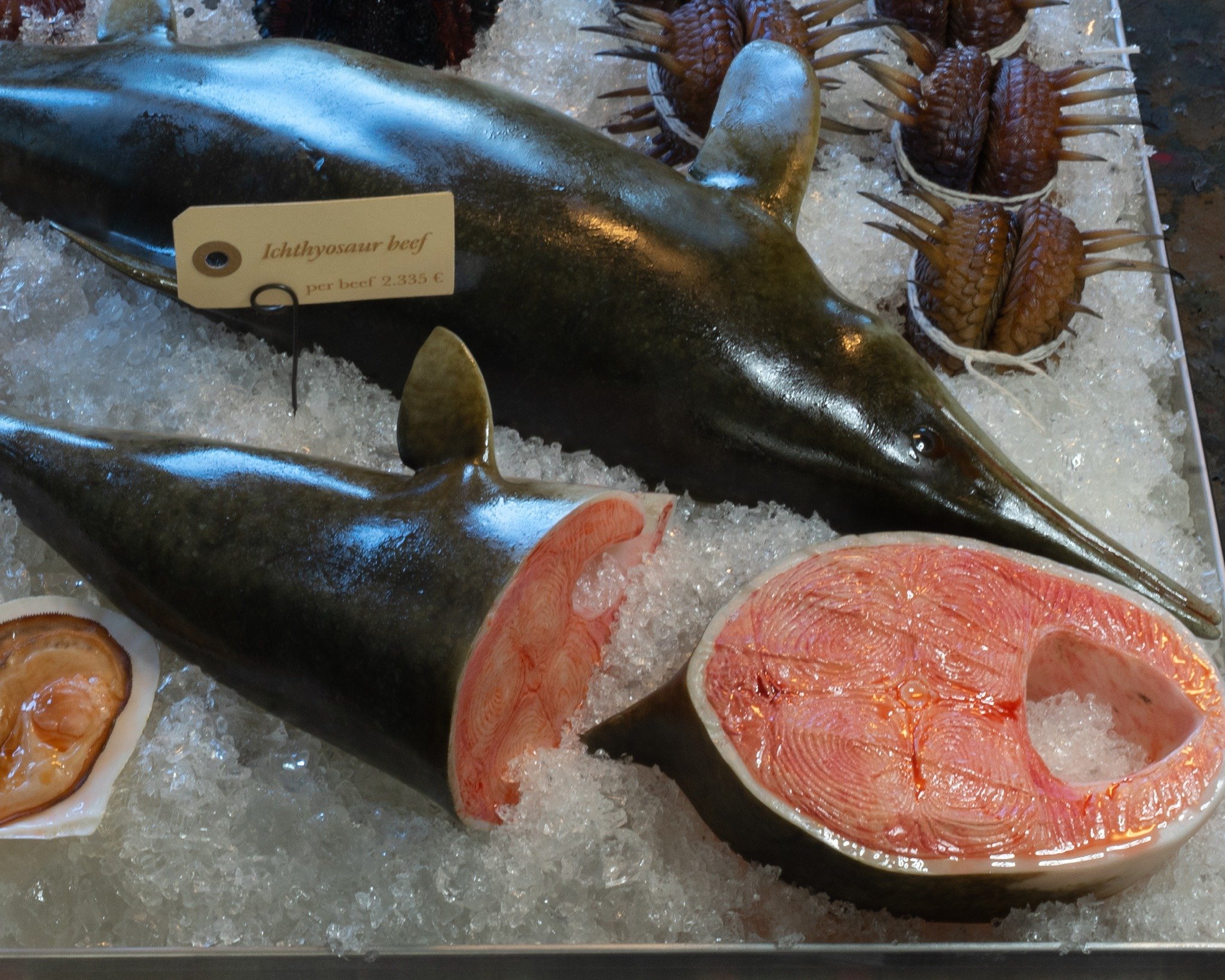 Seafood through time 🐚🦑🦈
We&rsquo;re big fans of seafood. After the successful first trip to the Cretaceous, we decided to make a seafood plate spanning several geological eras.
We returned to the Cretaceous to collect the ultimate mussel, Inocera