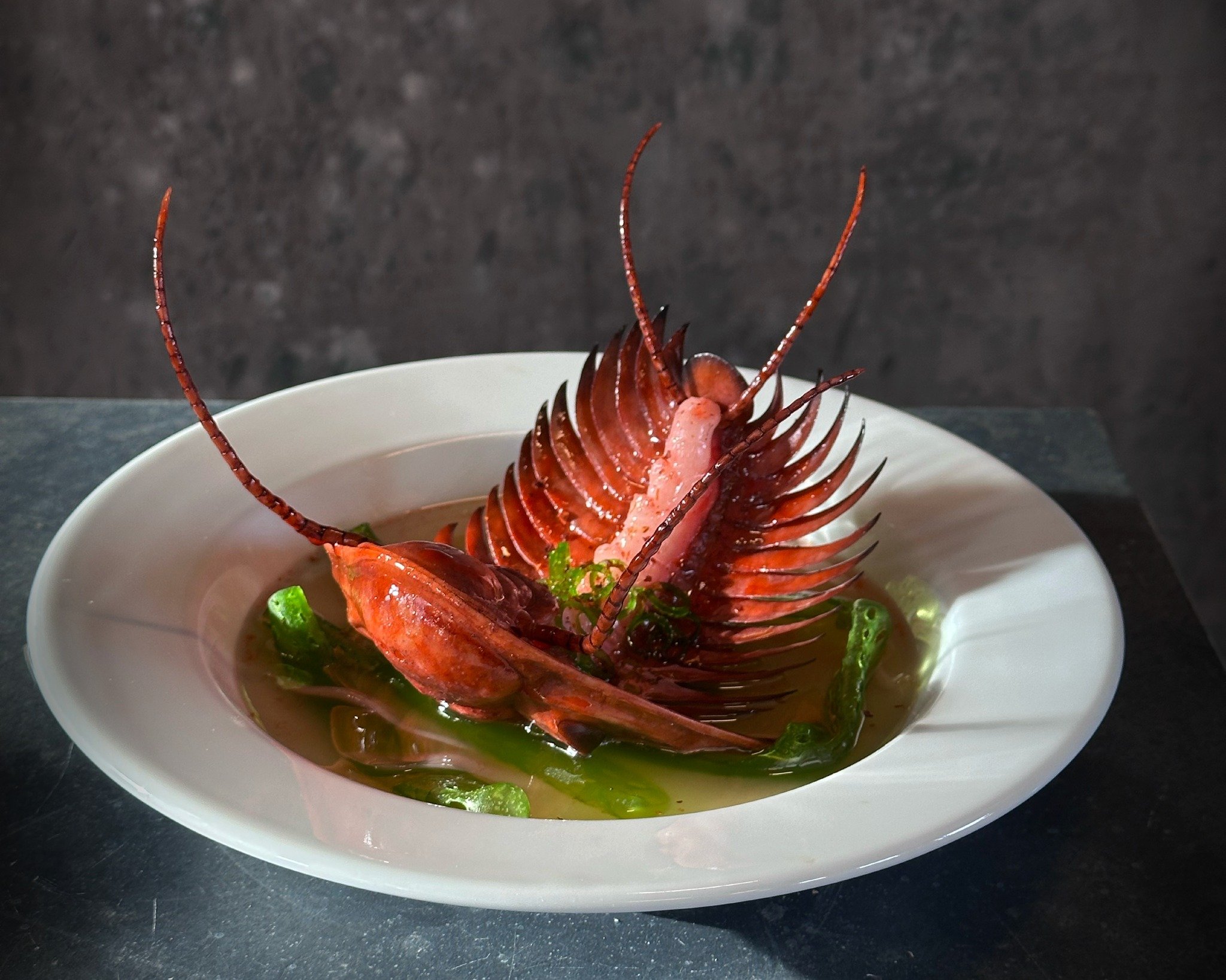 Trilobite on a plate 🦞
The trilobite is almost as iconic as T. rex, so of course it deserves a place on the plate. This dish speaks for itself. Blue lobster pales next to this beautiful animal &mdash; a dead-end in evolution whose flavour would have