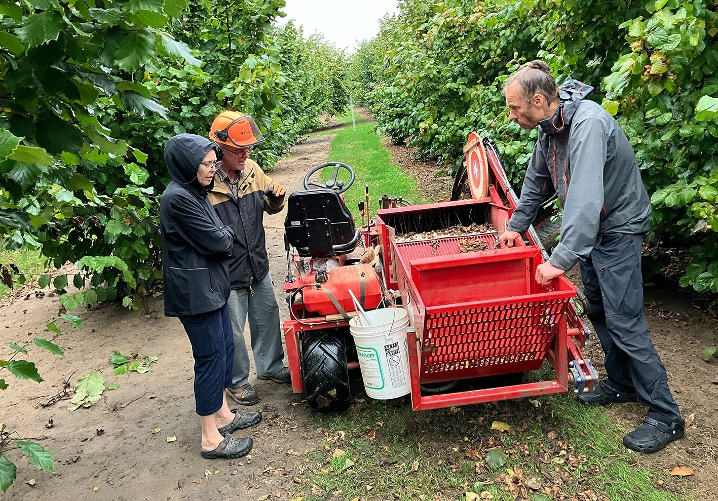 Pähkinäreissu Kanadaan 2025 – osa 3. Les High’n hasselpähkinäviljelmä