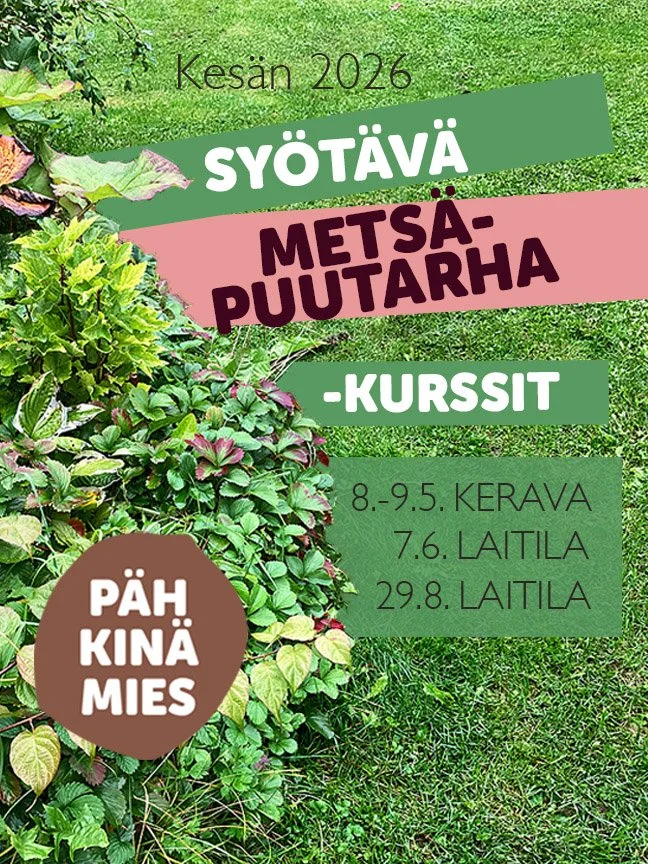Moni sanoo ett&auml; parasta Sy&ouml;t&auml;v&auml; mets&auml;puutarha -kursseillani on rento tunnelma, uudet n&auml;k&ouml;kulmat monivuotisten hy&ouml;tykasvien mahdollisuuksiin ja samanhenkinen puutarhahullujen porukka.

Ihan t&auml;t&auml; en aja