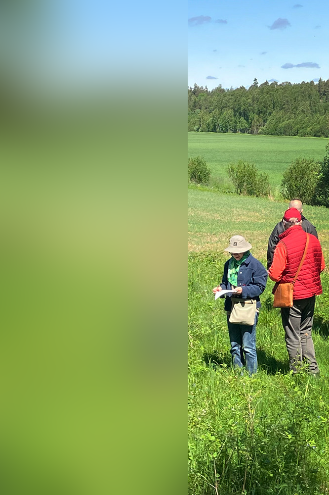 Kuvassa on ihmisiä pellolla