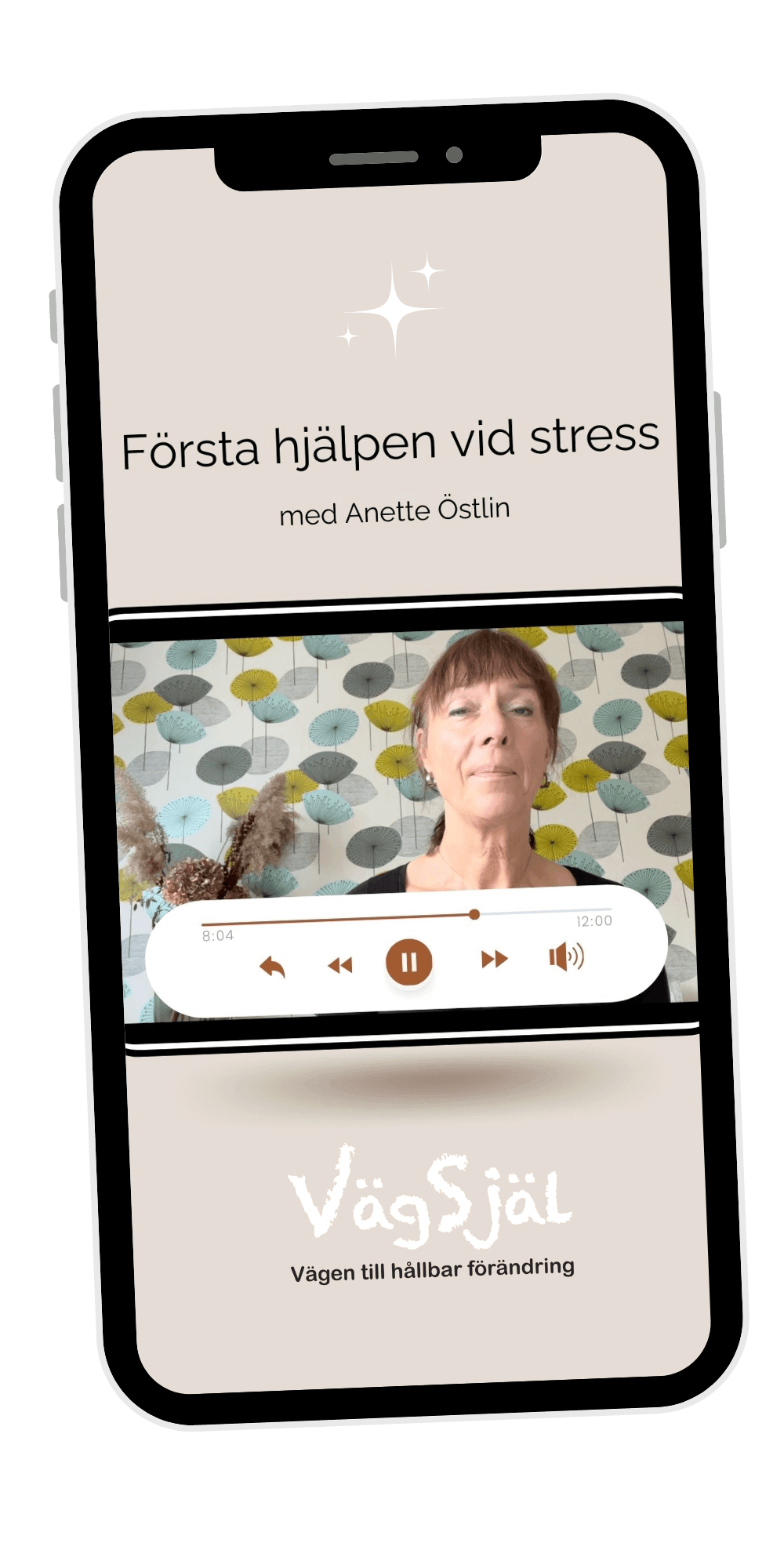 Anette Östlin Kostnadsfri första förbandslåda mot stress