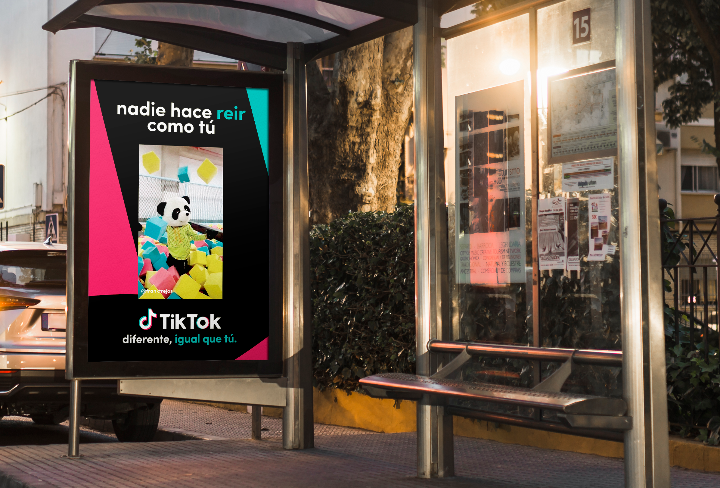 Bus stop shelter featuring a TikTok advertisement with a panda in a green sweater among colorful foam blocks, and the slogan 'nadie hace reir como tú. TikTok diferente, igual que tú.'