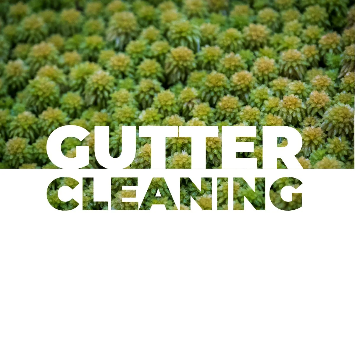 Gutter cleaning services in Hastings by Hope Home & Garden.