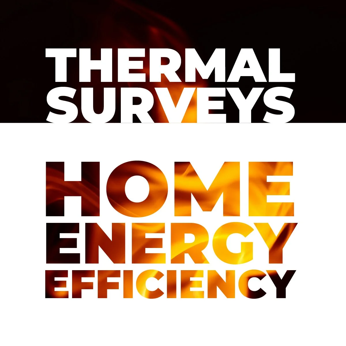Thermal imaging and home energy surveys in Hastings.