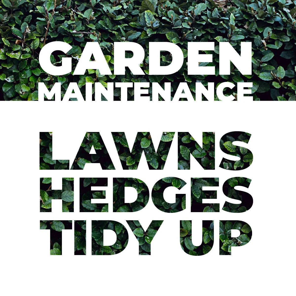 Garden maintenance, lawns, hedges and tidy-ups in Hastings.