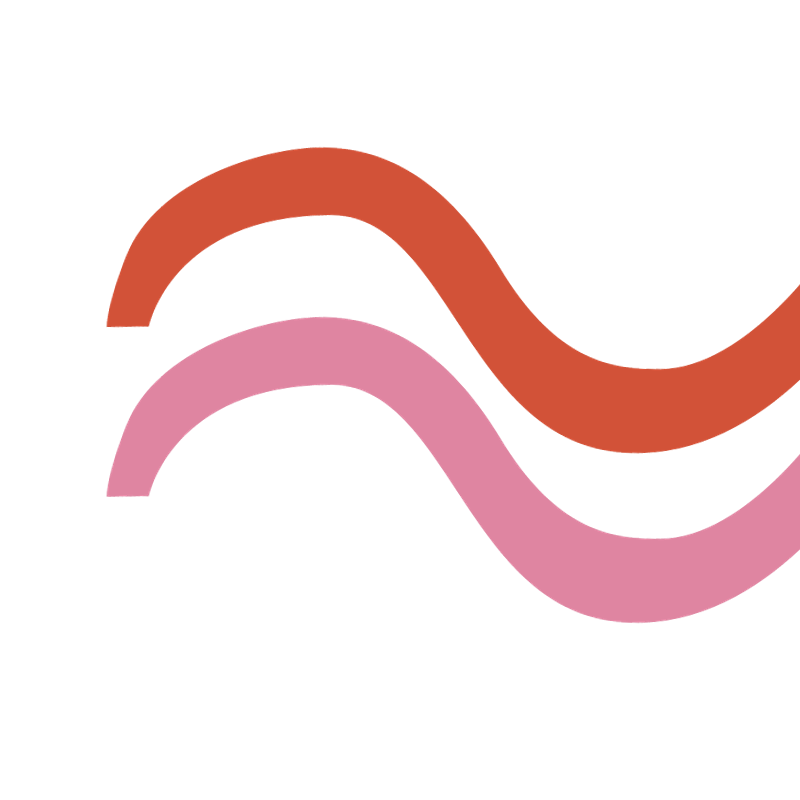 Two wavy lines, one rust-colored and one pink, overlapping on a transparent background.