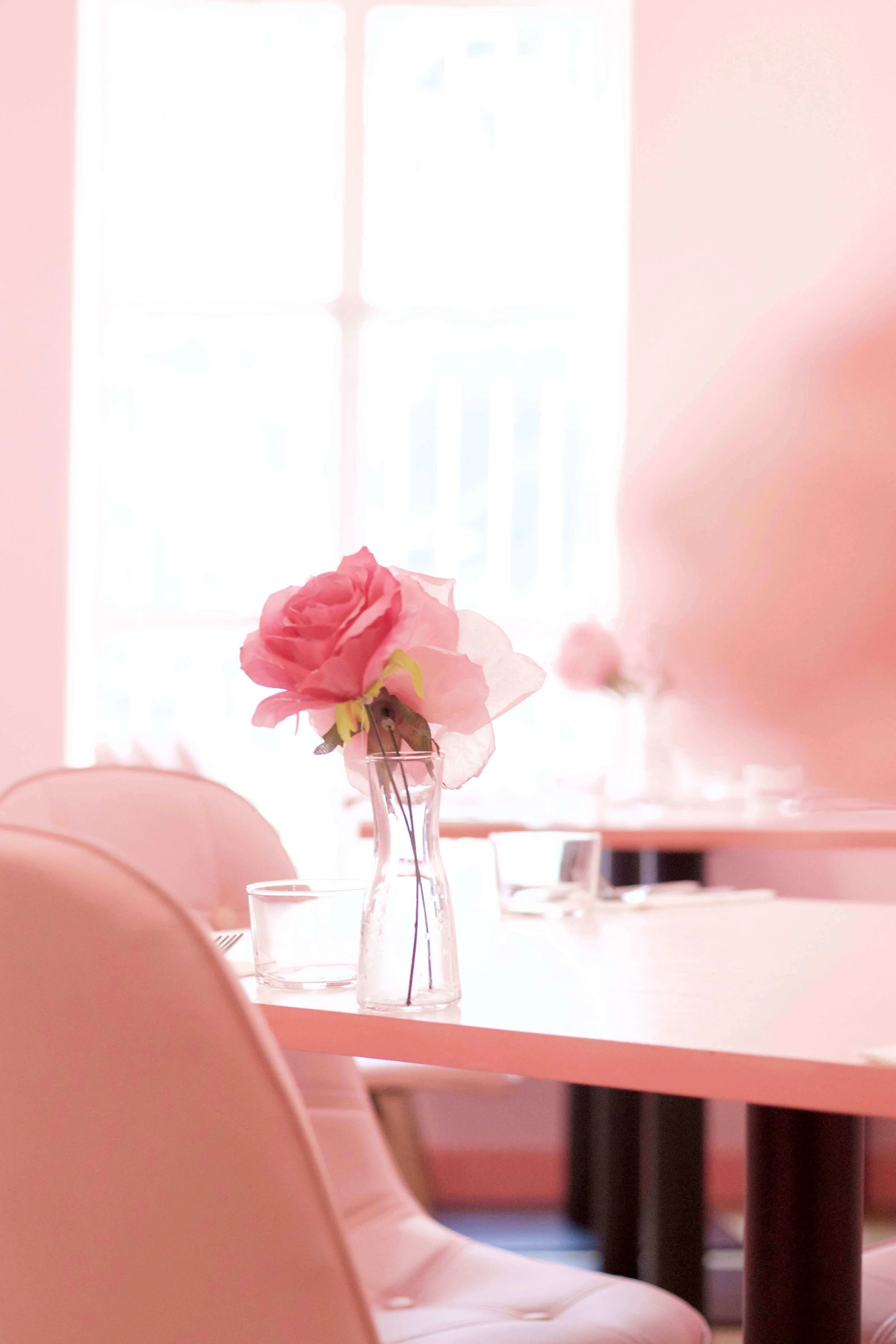 A table with a pink flower in a glass vase, set in a softly lit room with pink walls and a large window in the background.