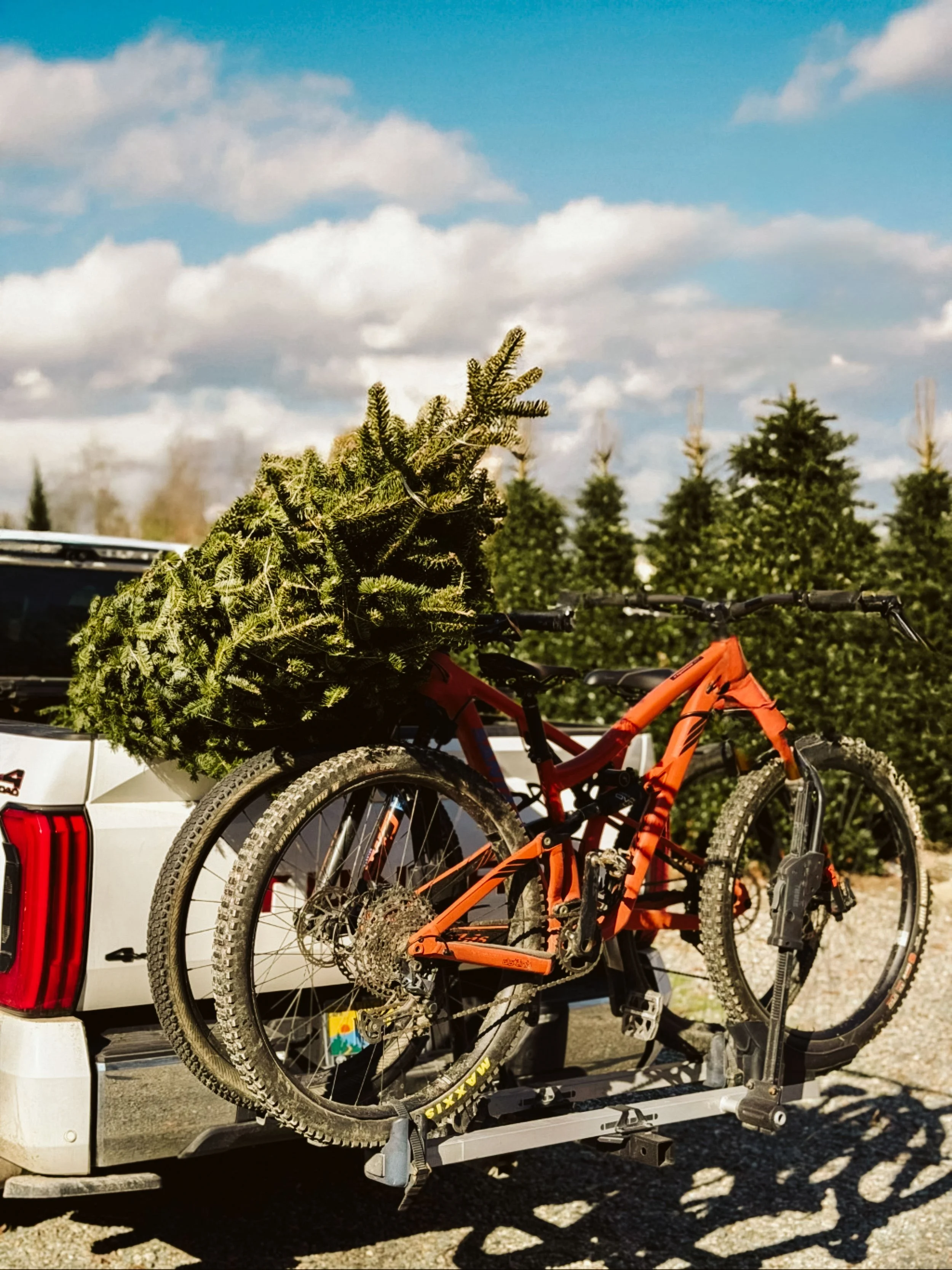 A Very Roamsteaders Christmas: Cozy Stops, Festive Drinks &amp; Holiday Traditions