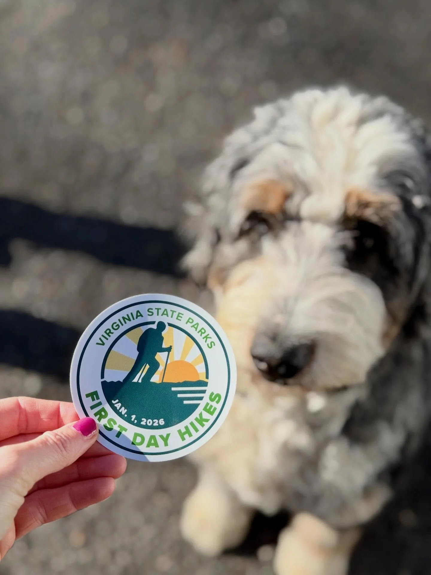 #FirstDayHike at Douthat. It was 29 degrees. That&rsquo;s all I will say. 

#vastateparks #virginiahiking #dogswhohike #2026