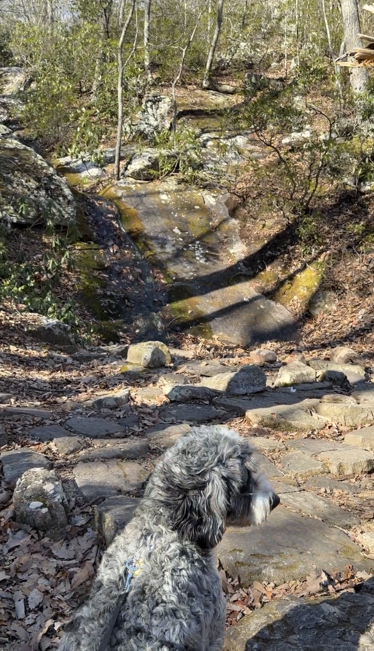 View recent photos.png