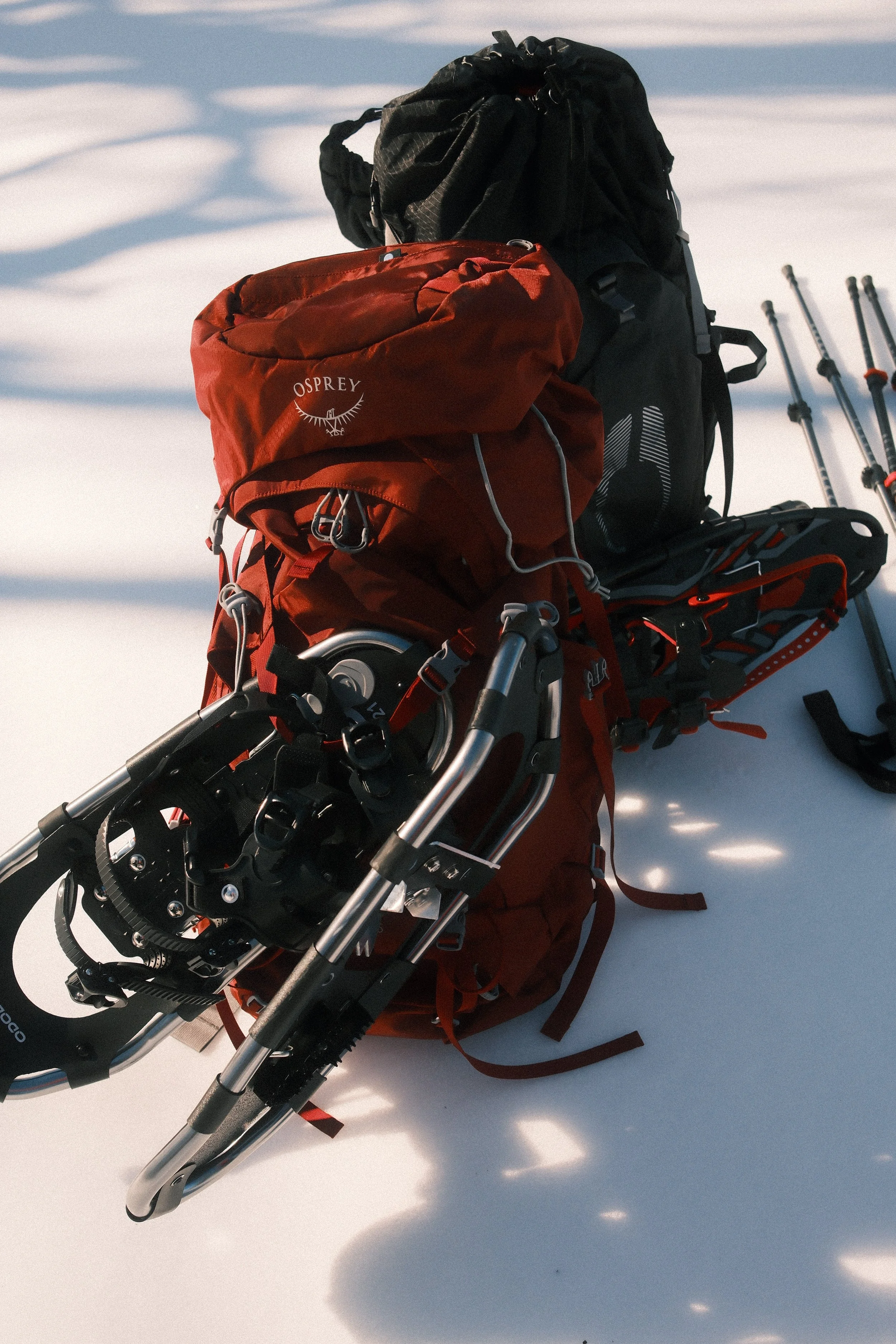 blue ridge parkway snowshoeing