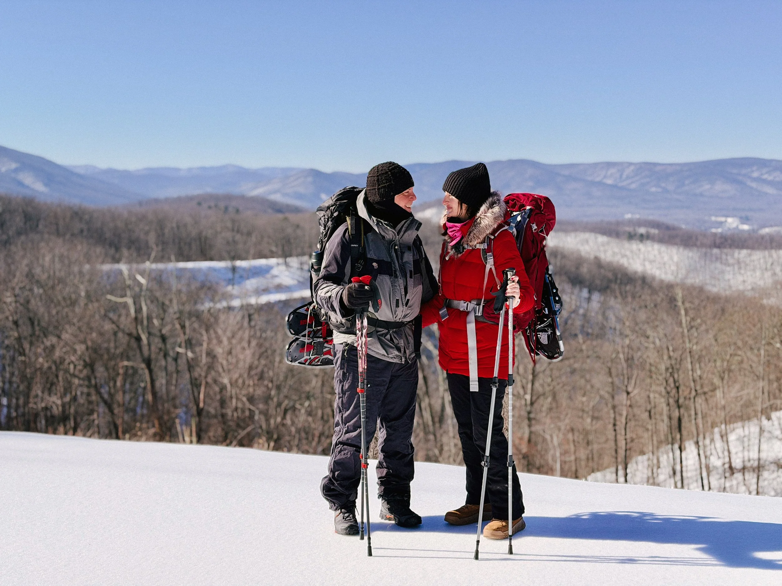 2026-02-01_11-05-46_252 (2026-02-02T00_46_30.465).jpeg