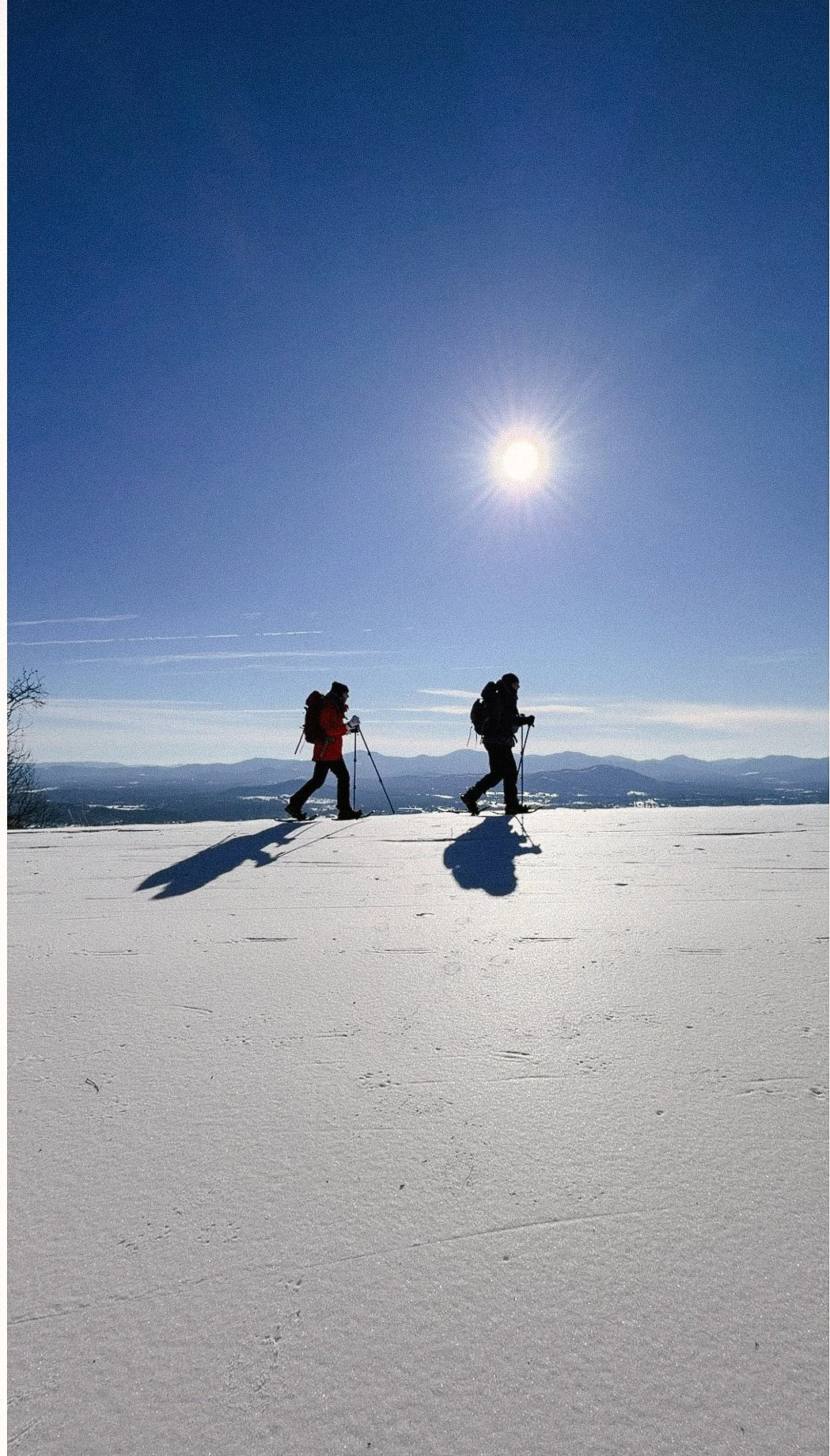Snowshoeing the Blue Ridge Parkway: Cold Miles for a Big July Goal