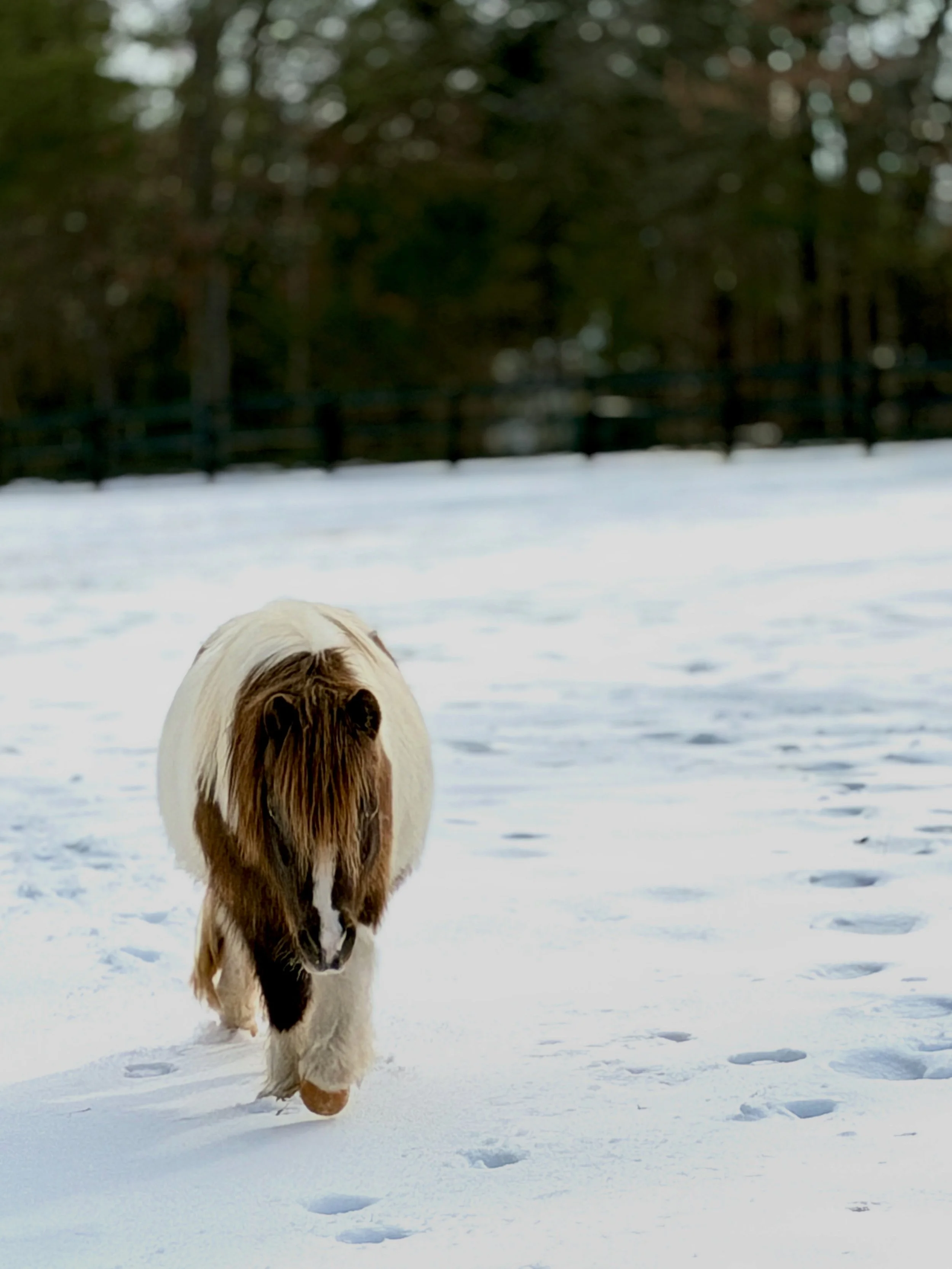 2026-02-03_13-53-55_883 (2026-02-06T21_22_02.393).jpeg