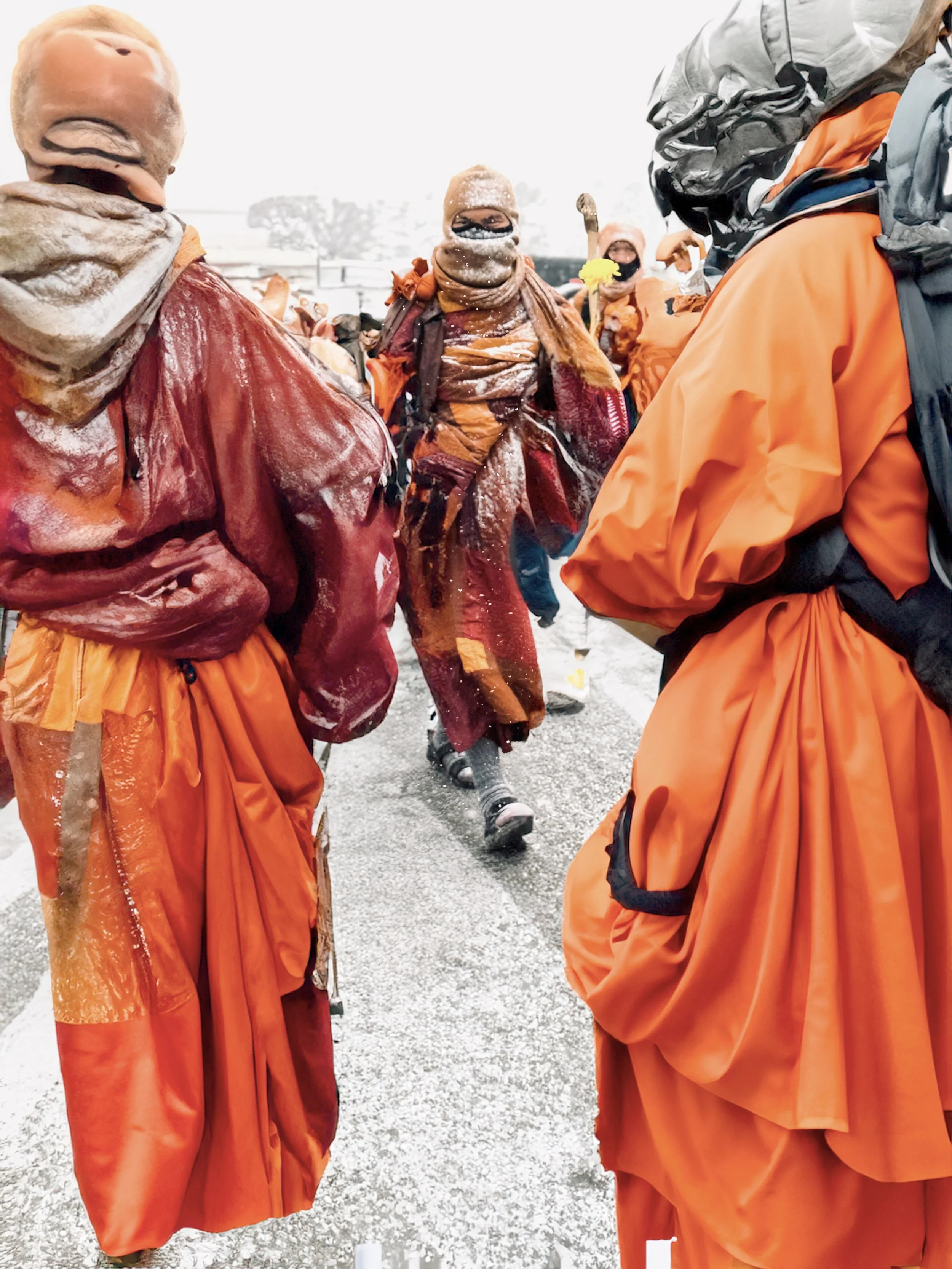 Watching the Monks Walk for Peace Through Virginia