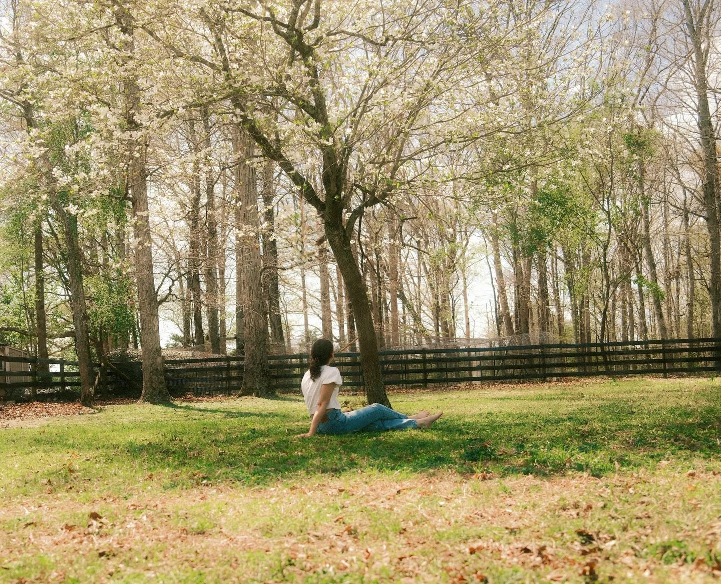 Spring on #fujifilm

#homestead #springishere